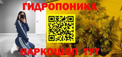 прущие грибы Нягань