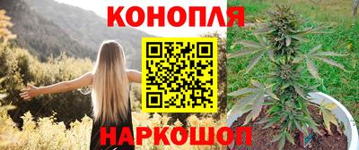 мдпв Обнинск