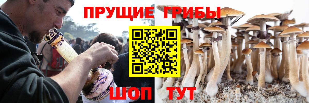 Стрежевой  Псилоцибиновые грибы MAGIC MUSHROOMS  Вход с VPN 